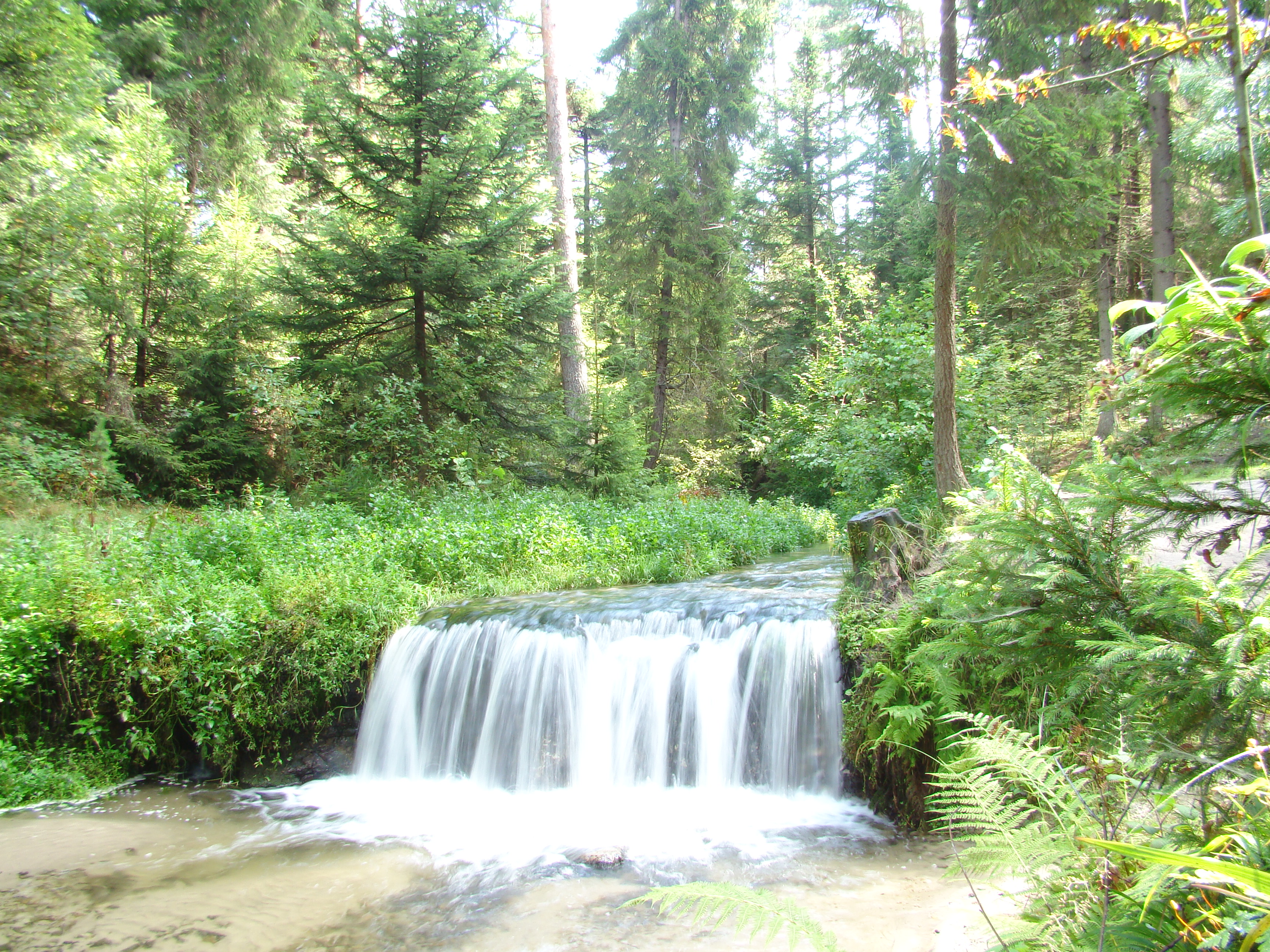 Wodospad na Jelonku